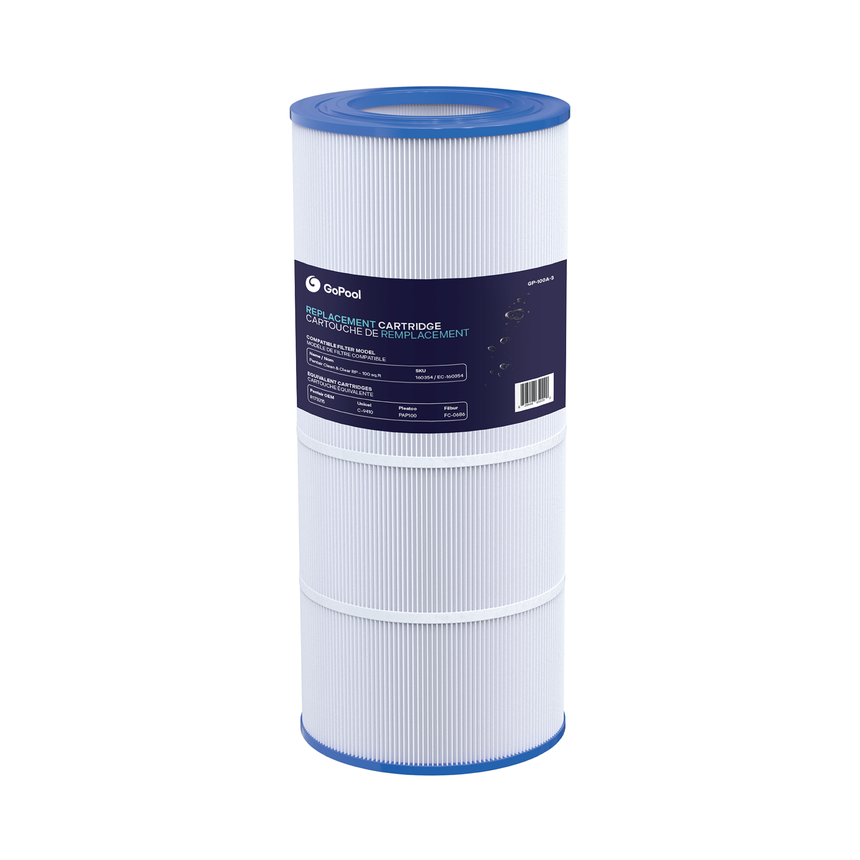 Cartouche Pentair Clean & Clear RP 100 pi²