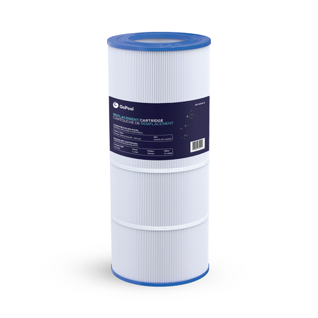 Cartouche Pentair Clean & Clear RP 100 pi²