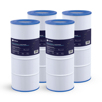 Cartouche Pentair Clean & Clear RP 100 pi²