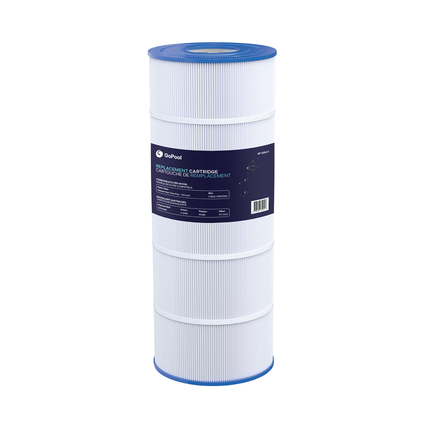 Cartouche Hayward Star-Clear Plus 120 pi²