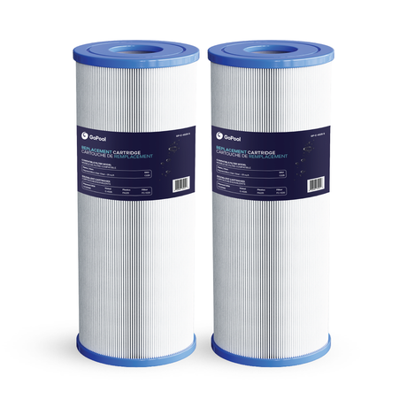 Cartouche Hayward Micro Star-Clear 25 pi²