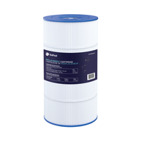 GoPool Cartouche de remplacement - Hayward SwimClear C100S et GoPool CF1 Single Cartridge CF1-100S - CX100XRE