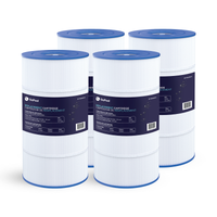 Cartouche Hayward SwimClear / CF1 Single Cartridge 100 pi²