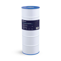 Cartouche Hayward Star-Clear Plus 75 pi²