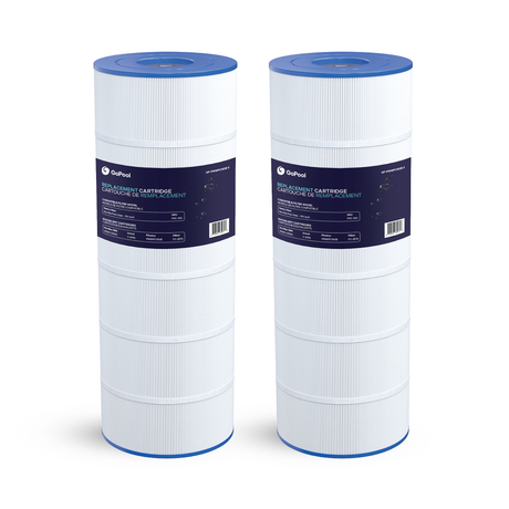 Cartouche Sta-Rite Posi-Clear 150 pi²