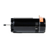 GoPool 56J 1.5HP à 1 Vitesse - Moteur de Remplacement pour Pompe de Piscine