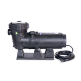 AG1 1.5HP à 2 Vitesses avec minuterie - Pompe pour Piscine Hors Terre