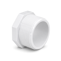 Bouchon (Vissé Mâle) -  PVC Schedule 40 Blanc