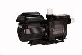 Sta-Rite SuperMax VS 1.5 HP à Vitesse Variable - Pompe pour Piscine Creusée